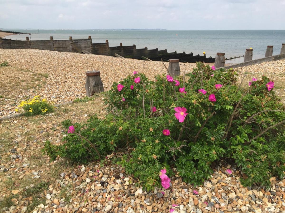 Charming Bight Moments From By Whitstable-holidays * Whitstable